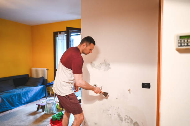 Reliable Central City, PA Mold Remediation Solutions